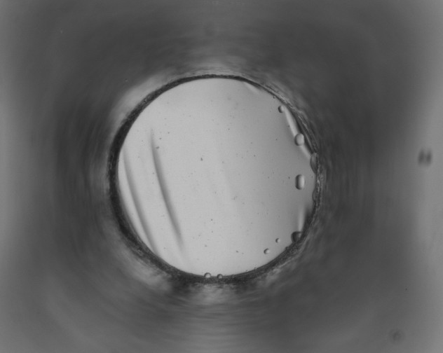 X0000091850248200710031647