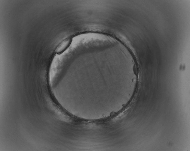 X0000091850249200710031647