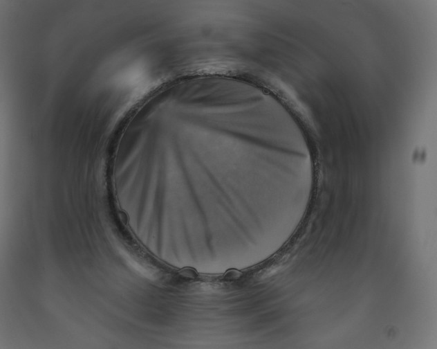 X0000091850250200710031647