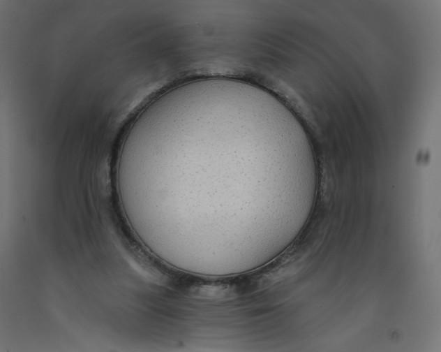 X0000091850251200710031647