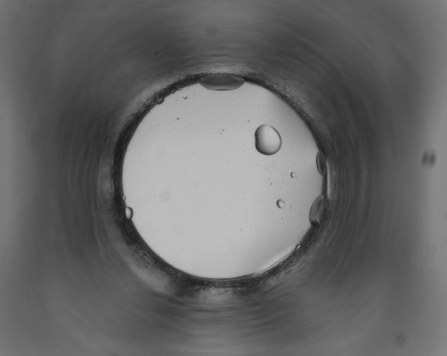 X0000091850252200710031647