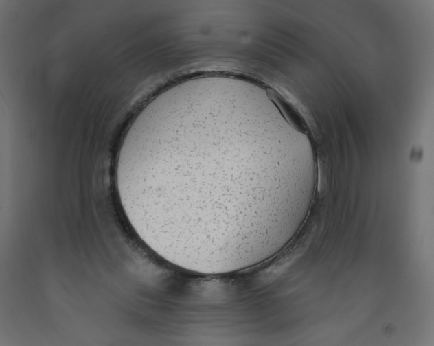 X0000091850253200710031647