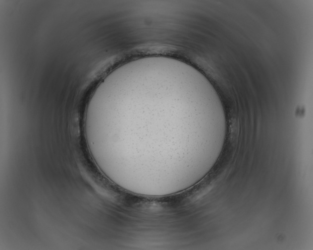 X0000091850254200710031647