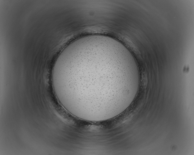 X0000091850255200710031647