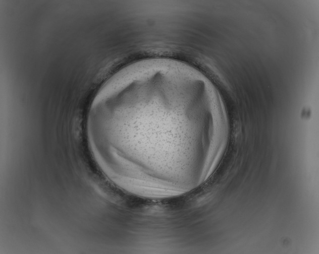 X0000091850259200710031647