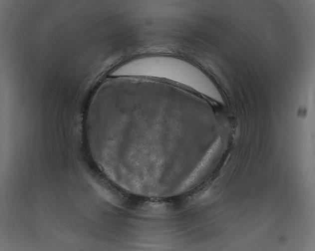 X0000091850260200710031647