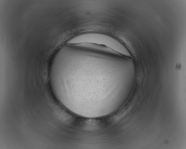 X0000091850261200710031647