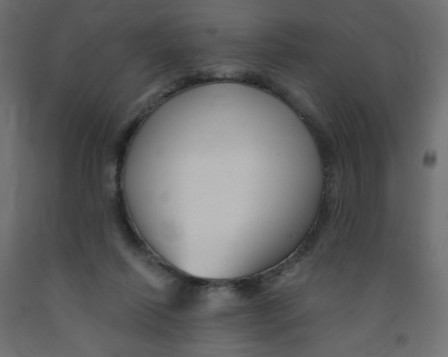 X0000091850262200710031647