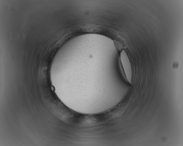 X0000091850263200710031647