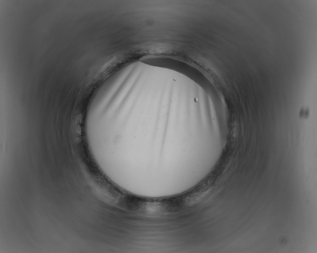 X0000091850264200710031647