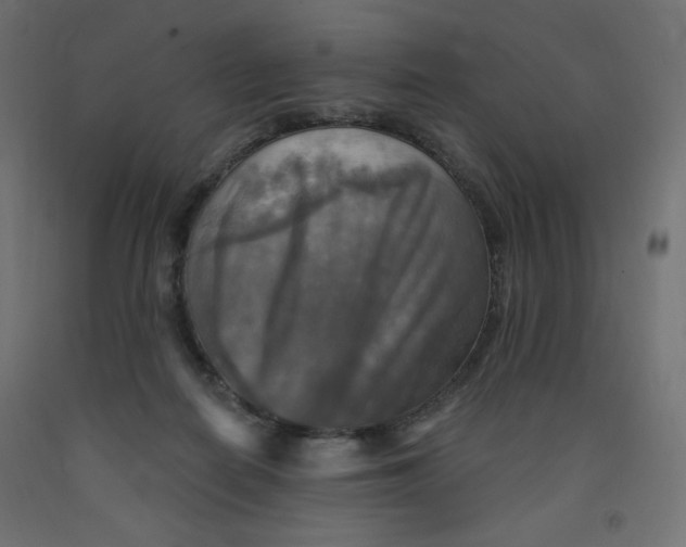 X0000091850266200710031647
