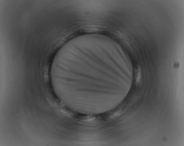X0000091850267200710031647