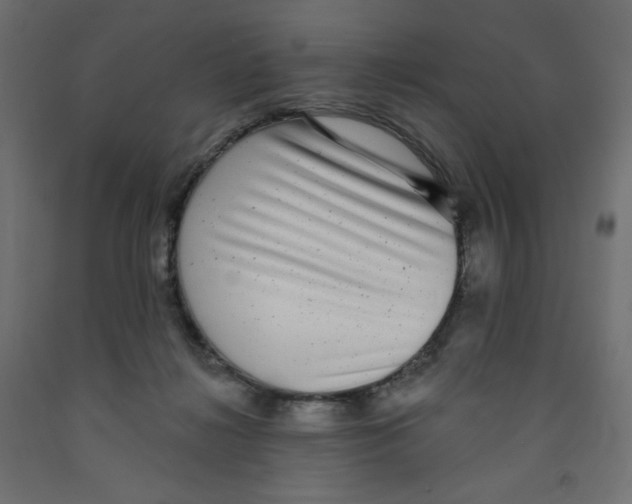 X0000091850268200710031647