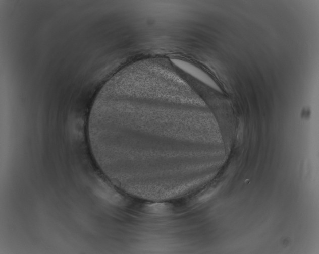 X0000091850269200710031647