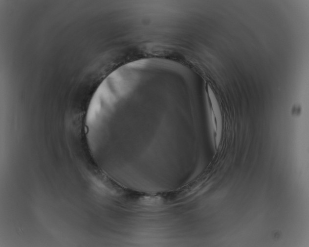 X0000091850271200710031647