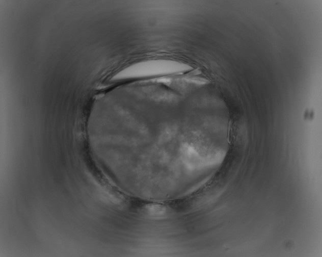 X0000091850272200710031647