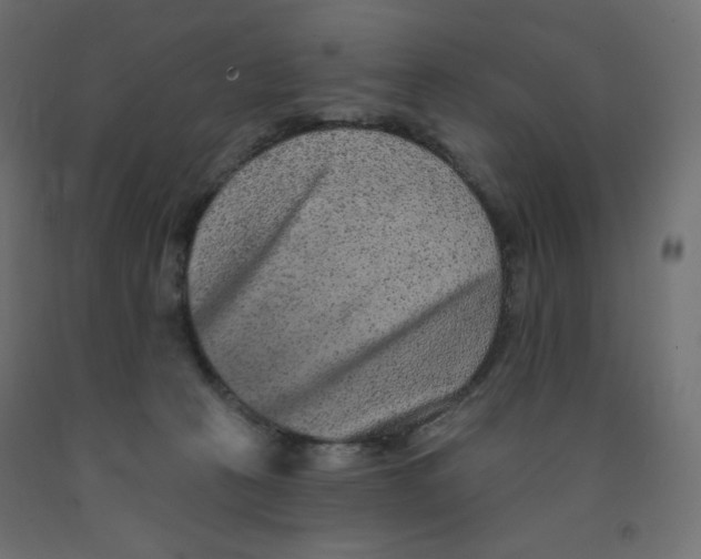 X0000091850273200710031647
