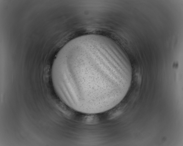X0000091850275200710031647