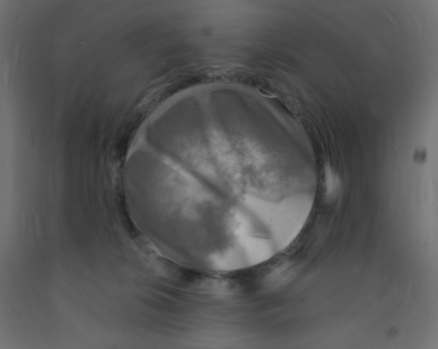 X0000091850276200710031647