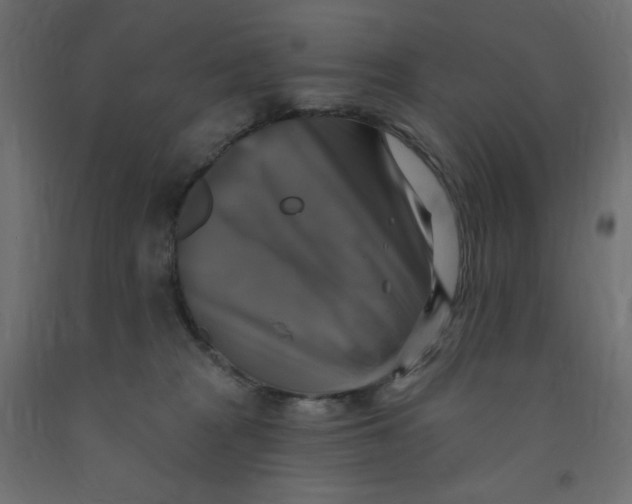 X0000091850277200710031647