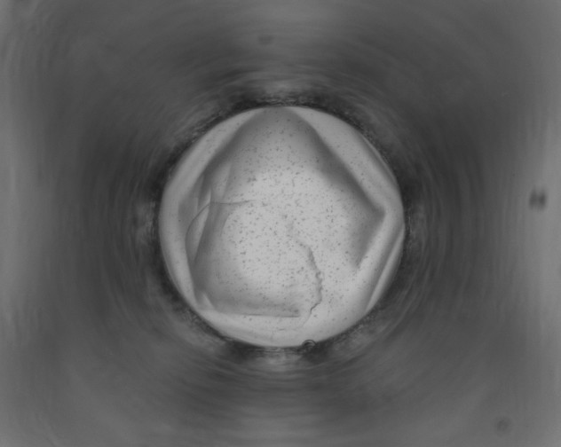 X0000091850278200710031647