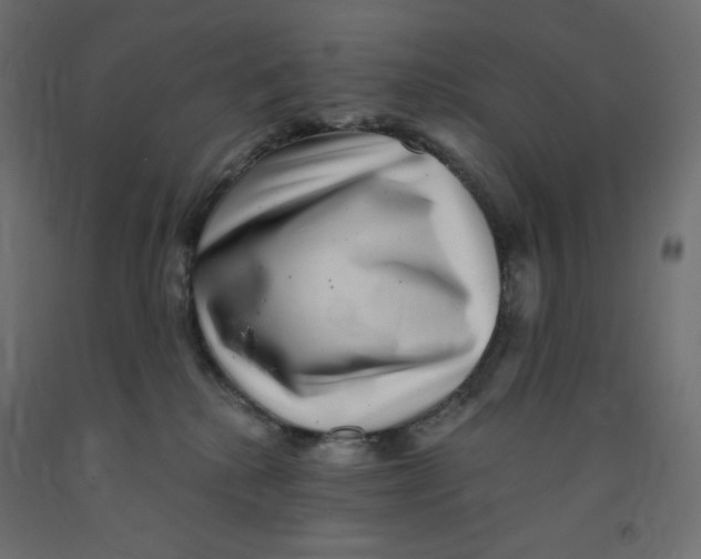 X0000091850280200710031647