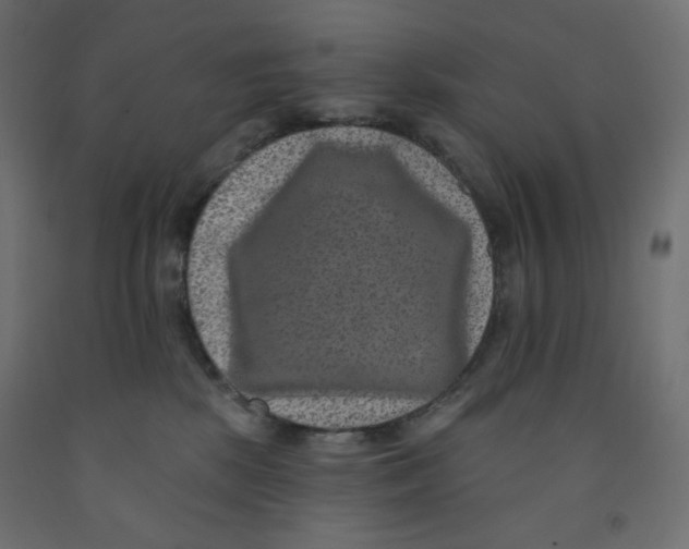 X0000091850281200710031647