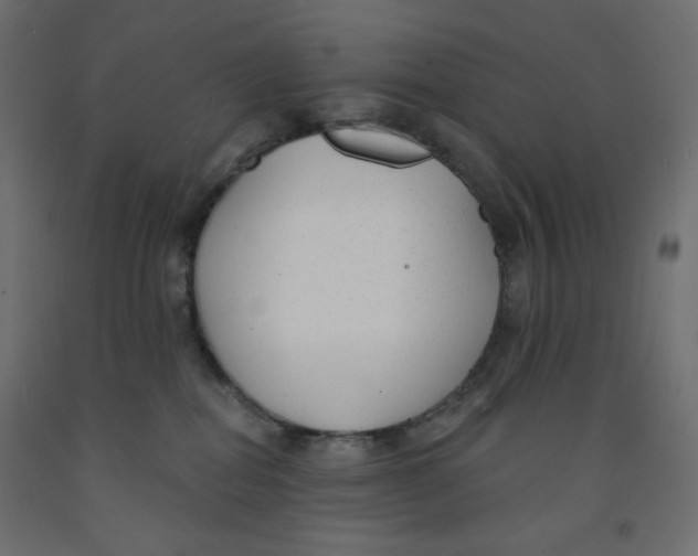 X0000091850282200710031647