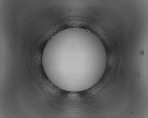X0000091850283200710031647