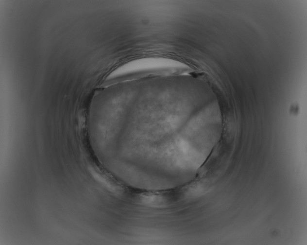 X0000091850284200710031647
