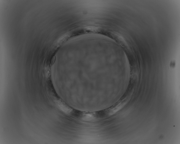 X0000091850285200710031647