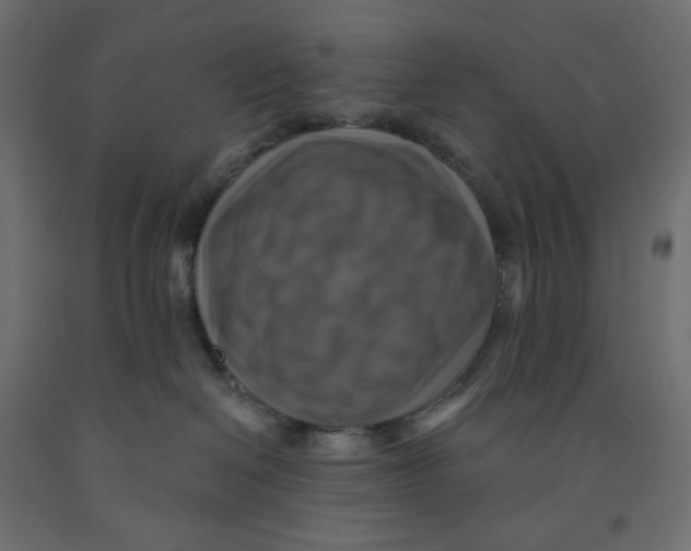 X0000091850286200710031647