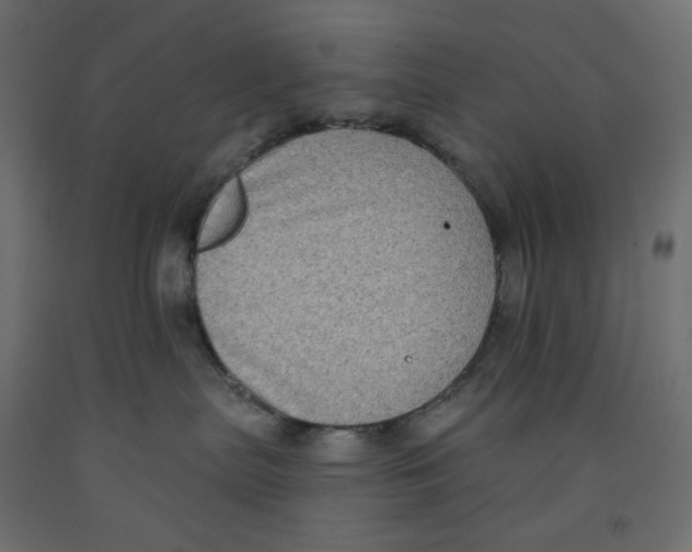 X0000091850287200710031647