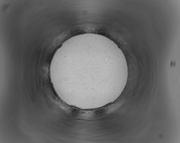 X0000091850288200710031647