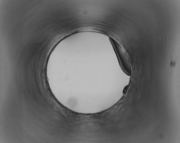 X0000091850289200710031647