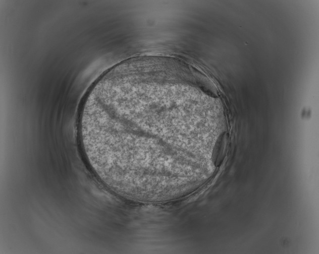 X0000091850290200710031647
