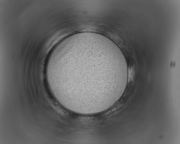 X0000091850291200710031647