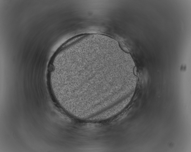 X0000091850292200710031647
