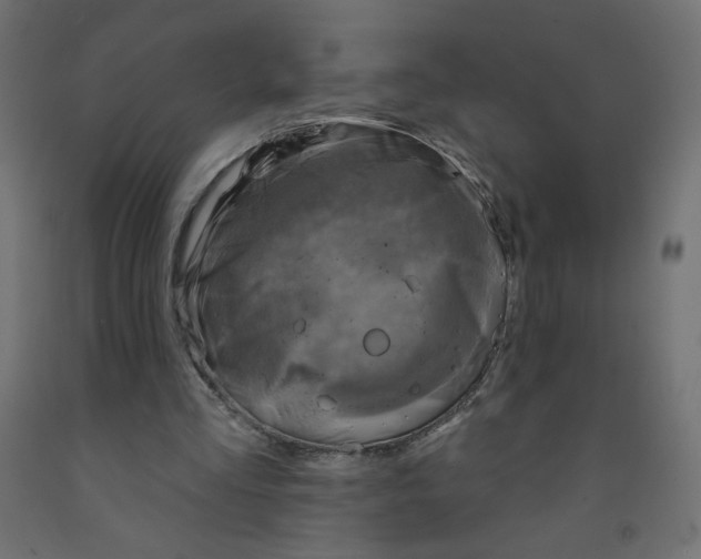 X0000091850293200710031647