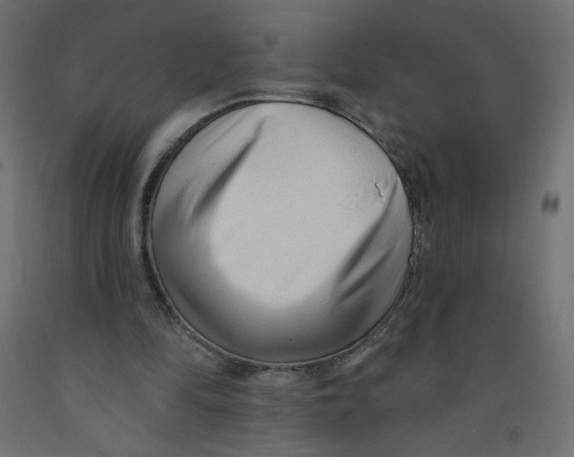X0000091850294200710031647