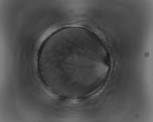 X0000091850295200710031647