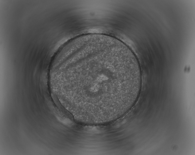 X0000091850297200710031647