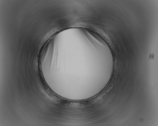 X0000091850298200710031647