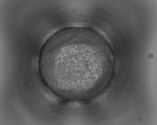 X0000091850299200710031647