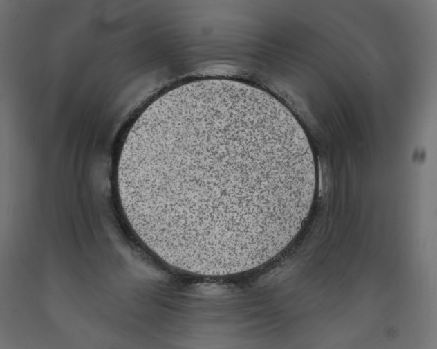 X0000091850300200710031647
