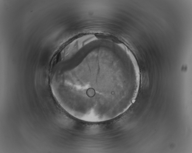 X0000091850301200710031647