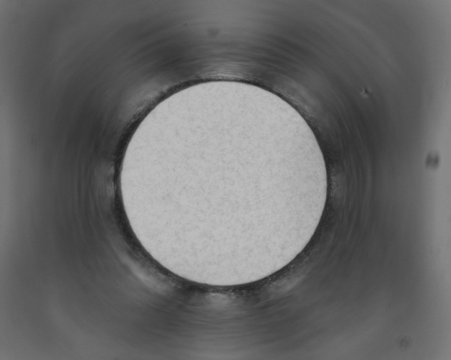 X0000091850302200710031647