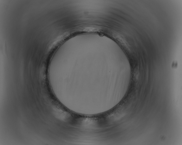 X0000091850303200710031647