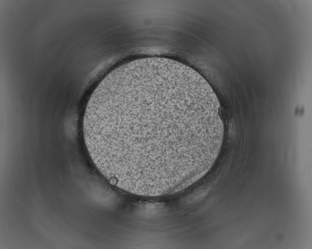 X0000091850304200710031647