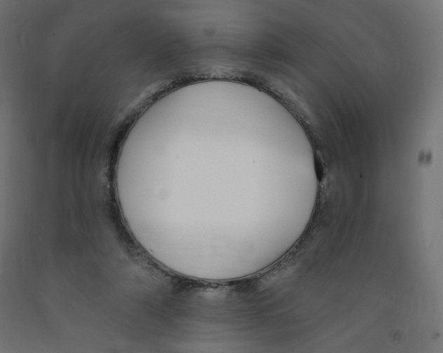 X0000091850306200710031647
